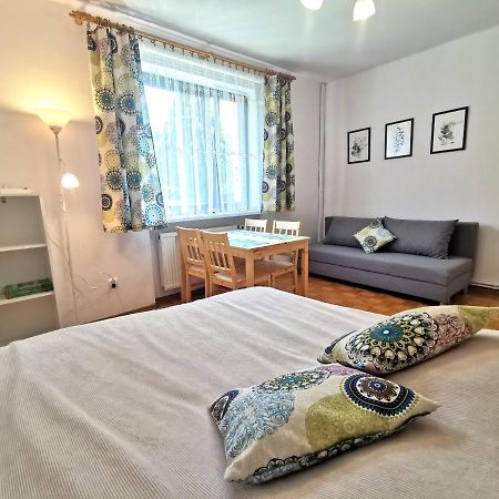 Ferienwohnung Pokoj W Bystrej Bystra  Exterior foto